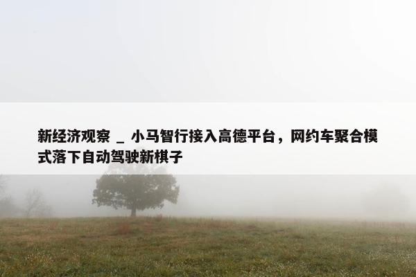 新经济观察 _ 小马智行接入高德平台，网约车聚合模式落下自动驾驶新棋子