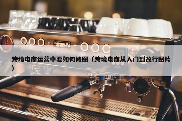 跨境电商运营中要如何修图（跨境电商从入门到改行图片）