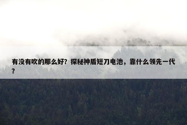 有没有吹的那么好？探秘神盾短刀电池，靠什么领先一代？