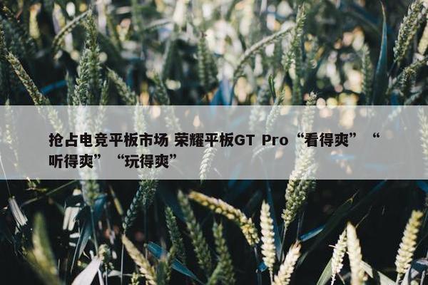 抢占电竞平板市场 荣耀平板GT Pro“看得爽”“听得爽”“玩得爽”