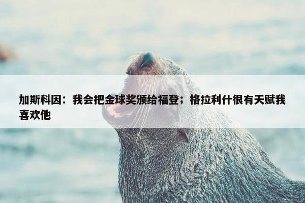 加斯科因：我会把金球奖颁给福登；格拉利什很有天赋我喜欢他