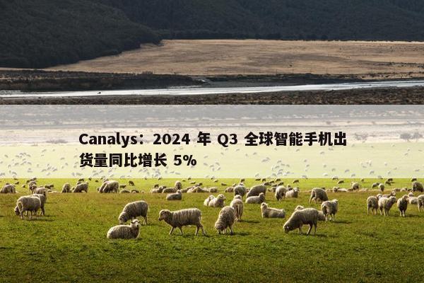 Canalys：2024 年 Q3 全球智能手机出货量同比增长 5%