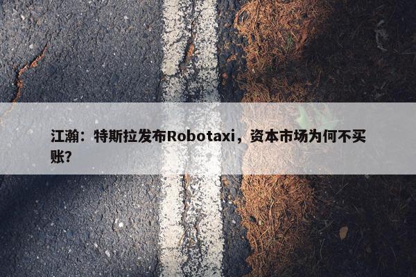 江瀚：特斯拉发布Robotaxi，资本市场为何不买账？