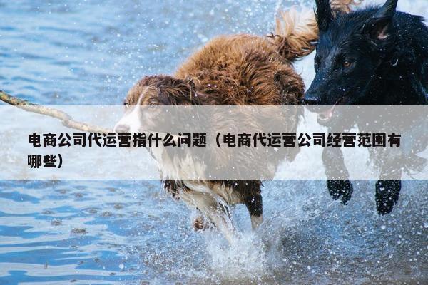 电商公司代运营指什么问题（电商代运营公司经营范围有哪些）