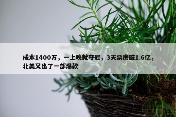 成本1400万，一上映就夺冠，3天票房破1.6亿，北美又出了一部爆款