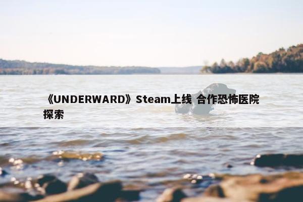 《UNDERWARD》Steam上线 合作恐怖医院探索