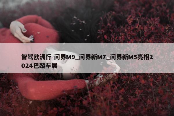 智驾欧洲行 问界M9_问界新M7_问界新M5亮相2024巴黎车展