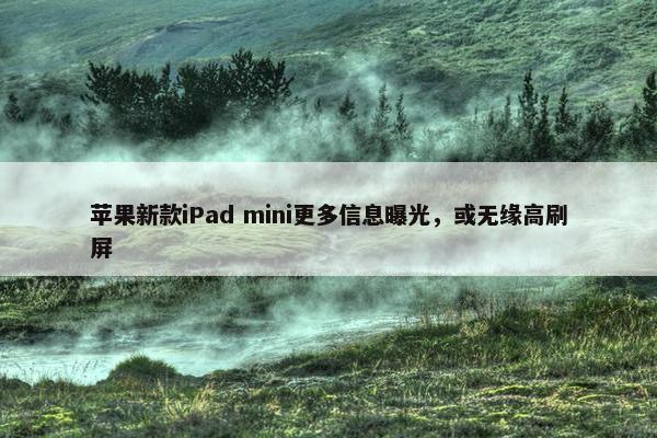 苹果新款iPad mini更多信息曝光，或无缘高刷屏