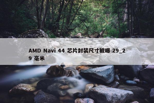 AMD Navi 44 芯片封装尺寸被曝 29_29 毫米