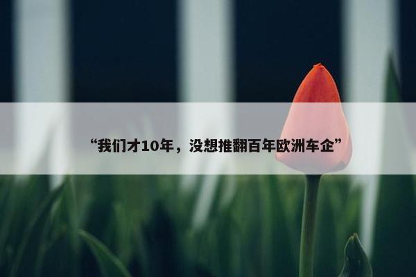 “我们才10年，没想推翻百年欧洲车企”