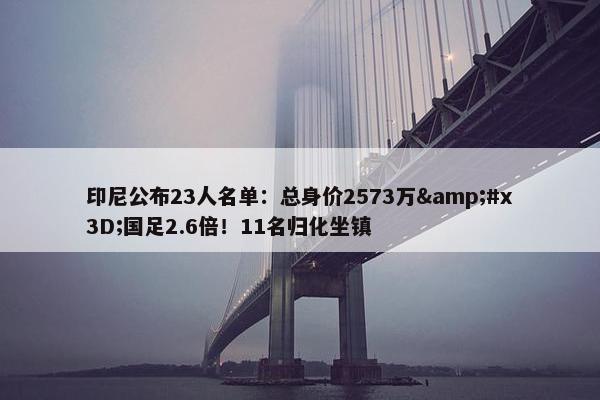 印尼公布23人名单：总身价2573万&#x3D;国足2.6倍！11名归化坐镇