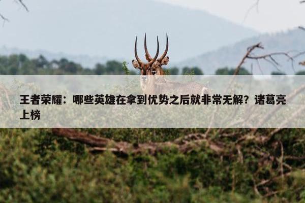 王者荣耀：哪些英雄在拿到优势之后就非常无解？诸葛亮上榜