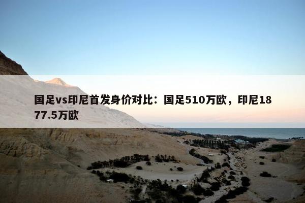 国足vs印尼首发身价对比：国足510万欧，印尼1877.5万欧