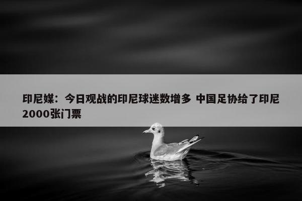 印尼媒：今日观战的印尼球迷数增多 中国足协给了印尼2000张门票