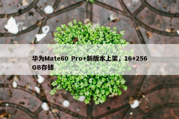 华为Mate60 Pro+新版本上架，16+256GB存储