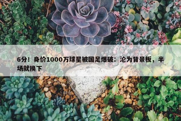 6分！身价1000万球星被国足爆破：沦为背景板，半场就换下