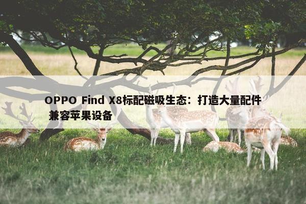 OPPO Find X8标配磁吸生态：打造大量配件 兼容苹果设备