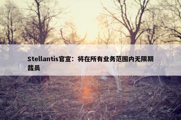 Stellantis官宣：将在所有业务范围内无限期裁员