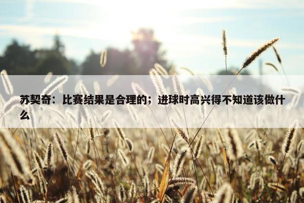 苏契奇：比赛结果是合理的；进球时高兴得不知道该做什么