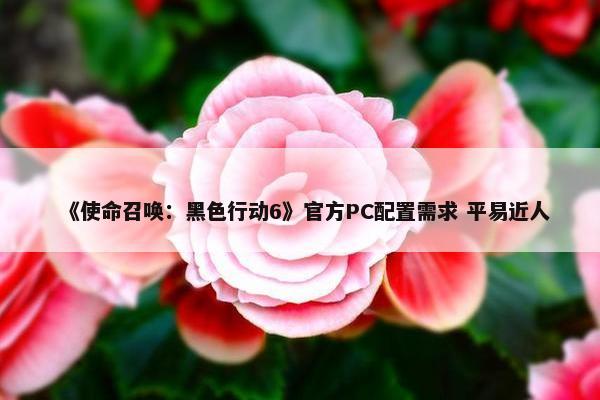 《使命召唤：黑色行动6》官方PC配置需求 平易近人