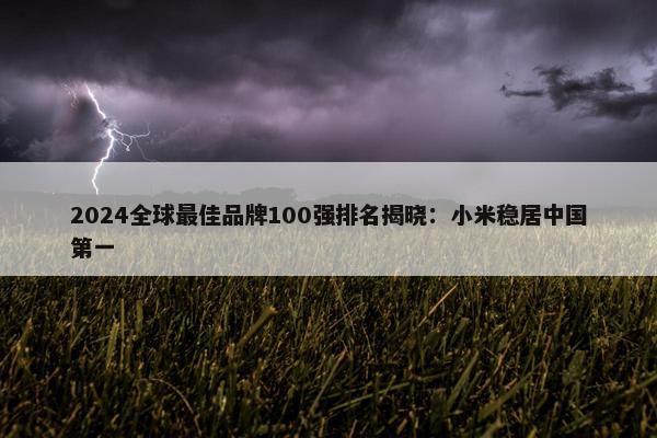 2024全球最佳品牌100强排名揭晓：小米稳居中国第一