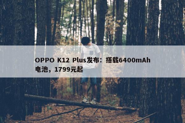 OPPO K12 Plus发布：搭载6400mAh电池，1799元起