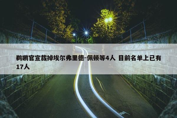 鹈鹕官宣裁掉埃尔弗里德-佩顿等4人 目前名单上已有17人