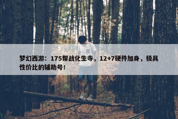 梦幻西游：175帮战化生寺，12+7硬件加身，极具性价比的辅助号！