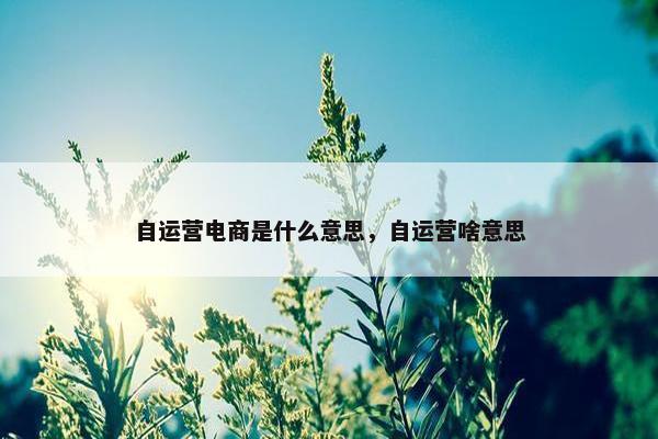 自运营电商是什么意思，自运营啥意思