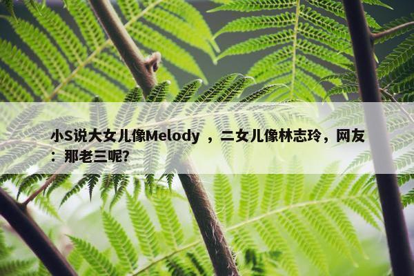 小S说大女儿像Melody ，二女儿像林志玲，网友：那老三呢？