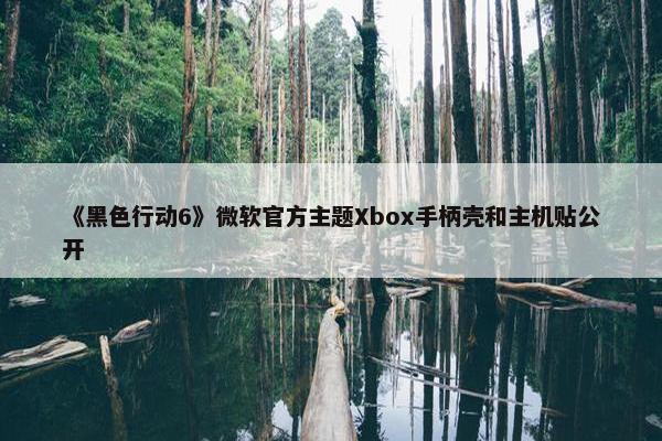 《黑色行动6》微软官方主题Xbox手柄壳和主机贴公开