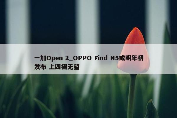 一加Open 2_OPPO Find N5或明年初发布 上四摄无望