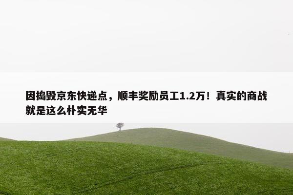 因捣毁京东快递点，顺丰奖励员工1.2万！真实的商战就是这么朴实无华