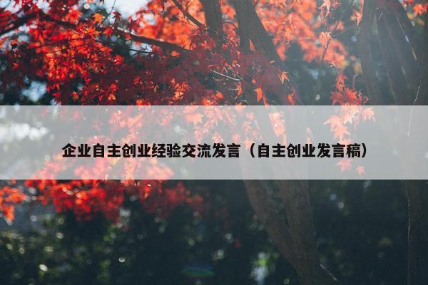 企业自主创业经验交流发言（自主创业发言稿）