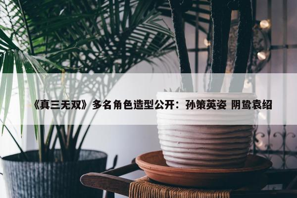 《真三无双》多名角色造型公开：孙策英姿 阴鸷袁绍