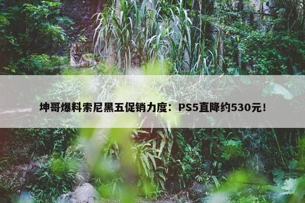 坤哥爆料索尼黑五促销力度：PS5直降约530元！