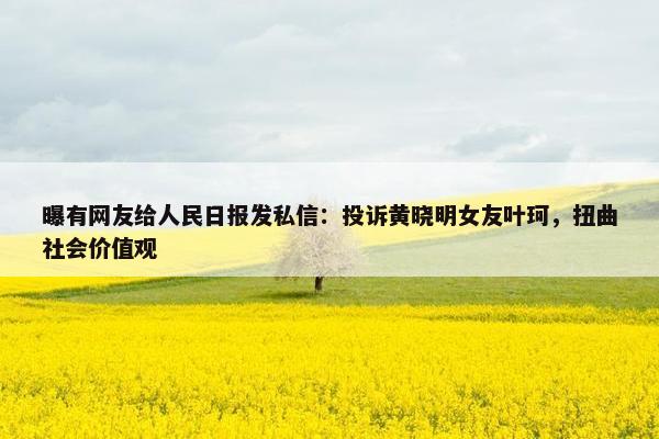 曝有网友给人民日报发私信：投诉黄晓明女友叶珂，扭曲社会价值观