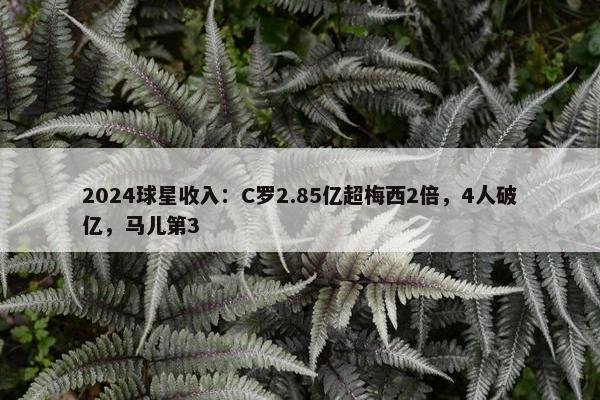 2024球星收入：C罗2.85亿超梅西2倍，4人破亿，马儿第3