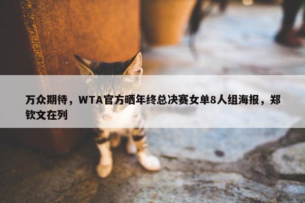 万众期待，WTA官方晒年终总决赛女单8人组海报，郑钦文在列