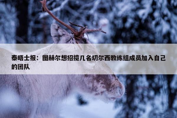 泰晤士报：图赫尔想招揽几名切尔西教练组成员加入自己的团队