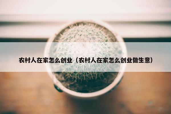 农村人在家怎么创业（农村人在家怎么创业做生意）