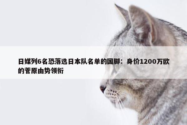 日媒列6名恐落选日本队名单的国脚：身价1200万欧的菅原由势领衔