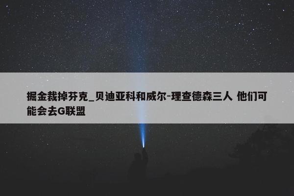 掘金裁掉芬克_贝迪亚科和威尔-理查德森三人 他们可能会去G联盟