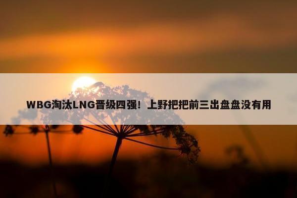 WBG淘汰LNG晋级四强！上野把把前三出盘盘没有用