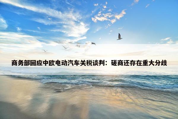 商务部回应中欧电动汽车关税谈判：磋商还存在重大分歧