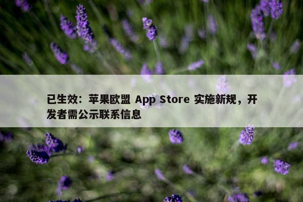 已生效：苹果欧盟 App Store 实施新规，开发者需公示联系信息