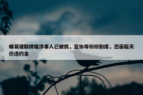 曝易建联嫖娼涉事人已被抓，篮协等纷纷割席，恐面临天价违约金