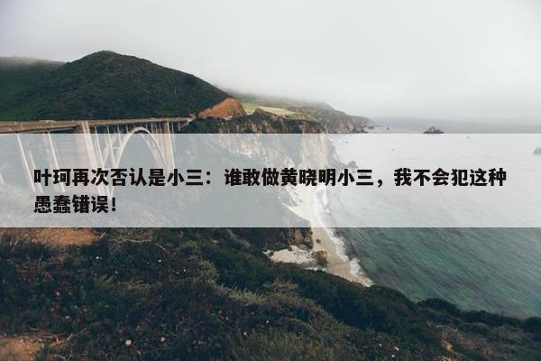 叶珂再次否认是小三：谁敢做黄晓明小三，我不会犯这种愚蠢错误！