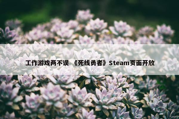 工作游戏两不误 《死线勇者》Steam页面开放