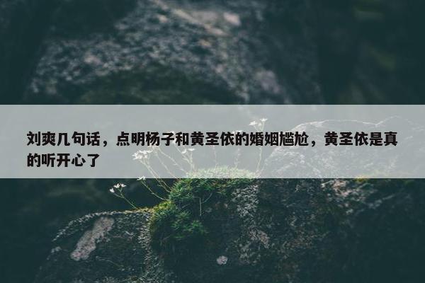 刘爽几句话，点明杨子和黄圣依的婚姻尴尬，黄圣依是真的听开心了